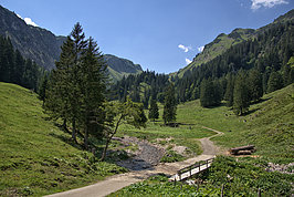Bernhard Saalfeld - Im Rappenalptal